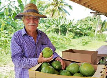 ONO Organic Farms, Exotic Tropical Fruit
