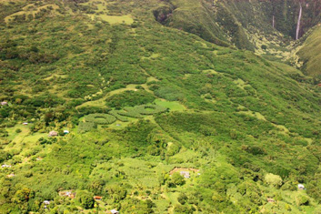 ONO Organic Farms, Exotic Tropical Fruit